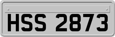 HSS2873