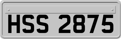 HSS2875