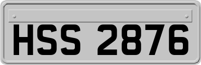 HSS2876