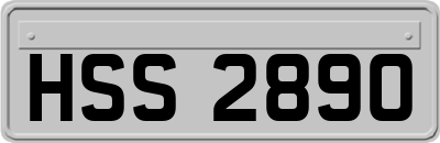 HSS2890