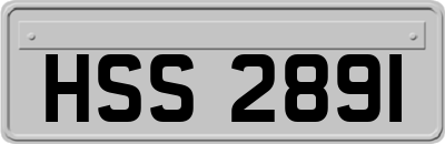 HSS2891