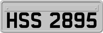 HSS2895