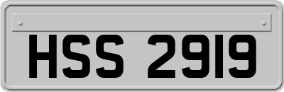 HSS2919