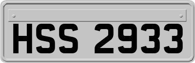 HSS2933