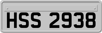 HSS2938