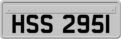 HSS2951