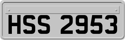 HSS2953