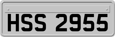 HSS2955