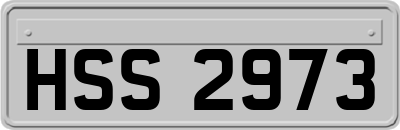 HSS2973
