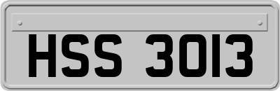 HSS3013