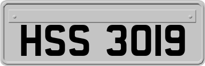 HSS3019