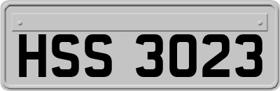 HSS3023