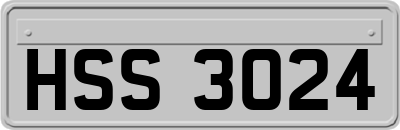 HSS3024