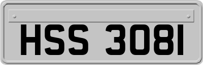 HSS3081
