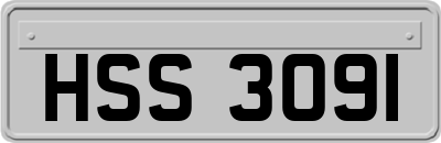 HSS3091