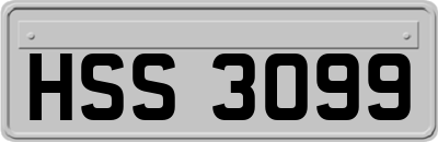 HSS3099