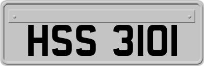 HSS3101