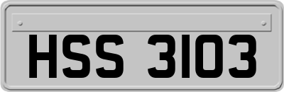 HSS3103