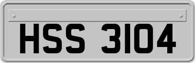 HSS3104