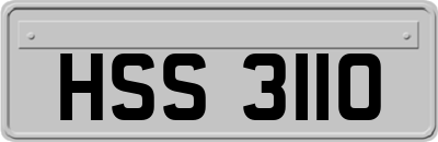HSS3110