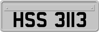 HSS3113