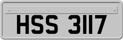 HSS3117