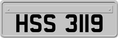 HSS3119
