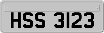 HSS3123