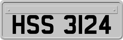 HSS3124