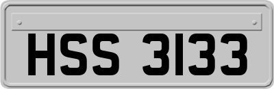 HSS3133