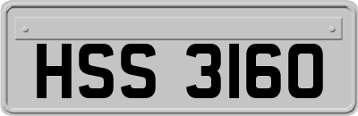 HSS3160