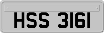 HSS3161