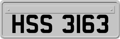 HSS3163