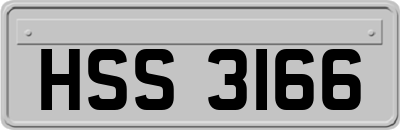 HSS3166