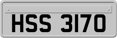 HSS3170