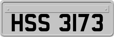 HSS3173