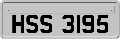 HSS3195