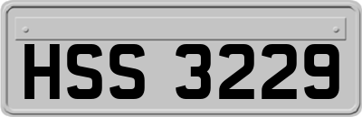 HSS3229