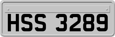 HSS3289