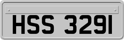 HSS3291