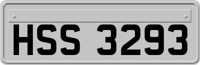 HSS3293