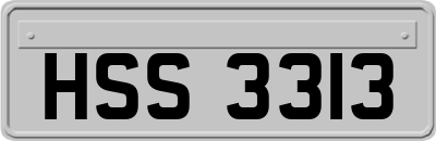 HSS3313