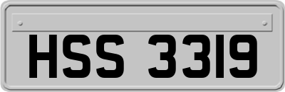 HSS3319