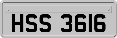 HSS3616