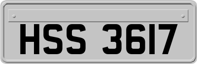 HSS3617