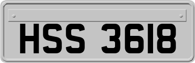 HSS3618