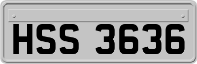 HSS3636