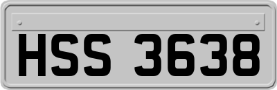 HSS3638