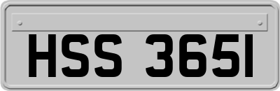 HSS3651
