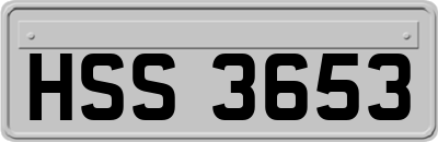 HSS3653